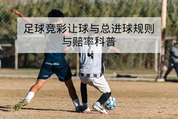 中超本场首发名单及教练轮换说明